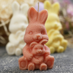Bunny with little bunny candle