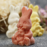 Bunny with little bunny candle