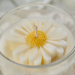 Παιώνια candle